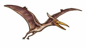 pterodactyl carnivore