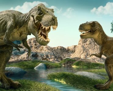 10 Different Types of Dinosaurs 10 Different Types of Dinosaurs